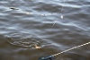 Pictures 061
